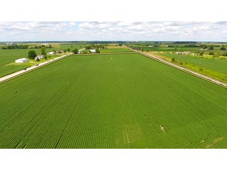 Property photo 5 - LAND AUCTION - 84+/- ACRES IN RUSH COUNTY, INDIANA